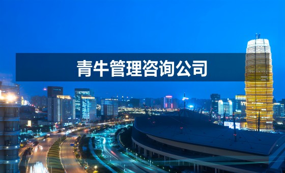 河南郑州地区管理咨询公司现状分析