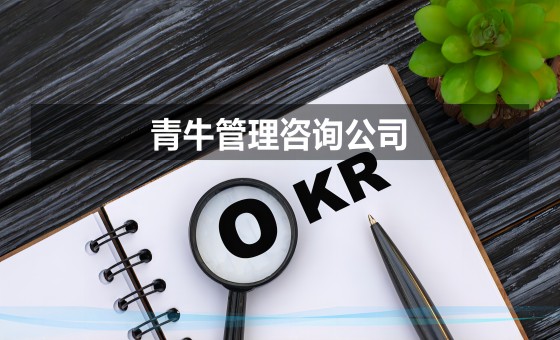 OKR管理咨询公司排名的现状
